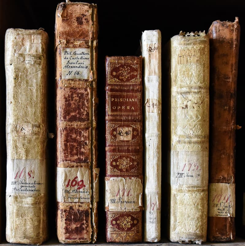 Mittelalterliche Handschriften aus der Göttweiger Stiftsbibliothek / Bernhard Rameder Mittelalterliche Handschriften aus der Göttweiger Stiftsbibliothek