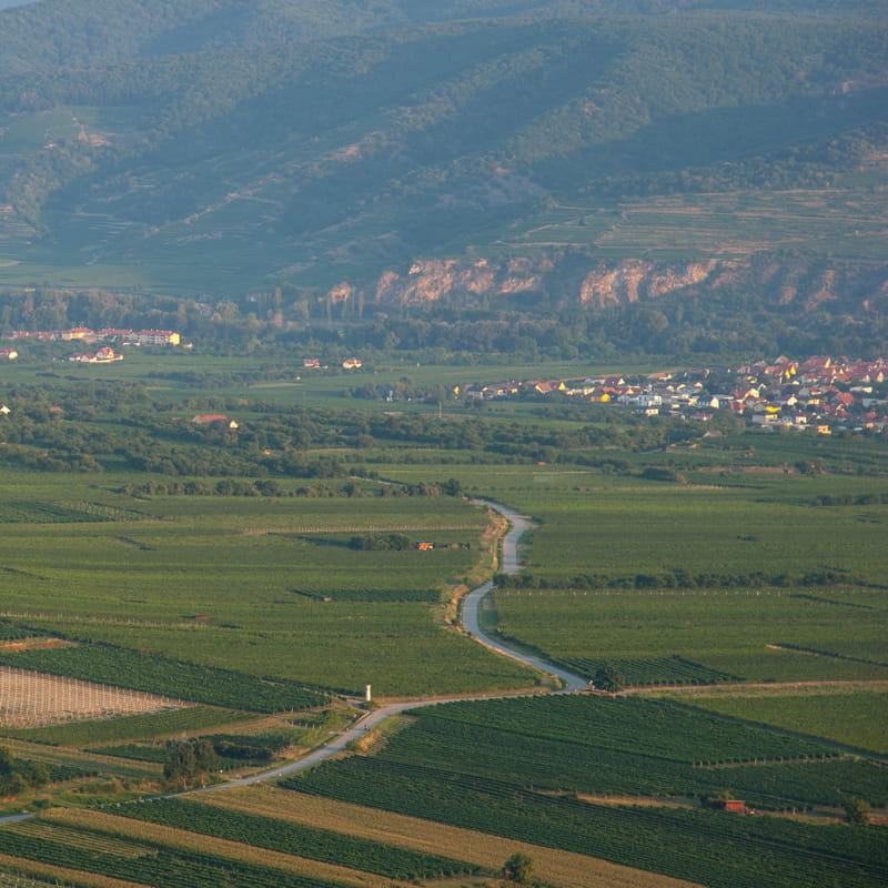 Blick in die Wachau / Josef Herfert